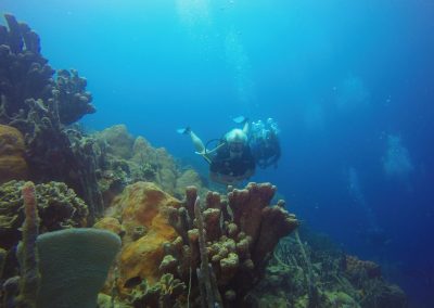 curso-flotabilidad-diving-planet-cartagena